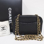 Chanel Ostrich Tote Bag 2